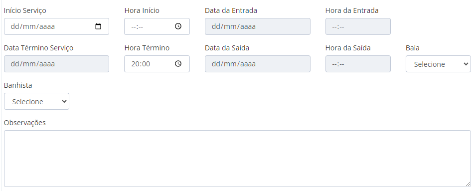Exemplo de campos exibidos após a escolha do Serviço.